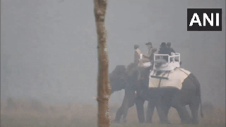 
      
      Assam: PM Modi takes elephant ride at Kaziranga National Park
      
      