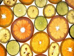 
      
      Researchers find peptide that treats, prevents citrus disease
      
      