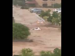 
      
      Mother, son killed in Islamabad flood following cloudburst
      
      