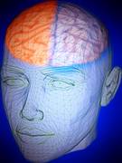 
      
      Cognitive function  does not measure weight-loss effect for...
      
      