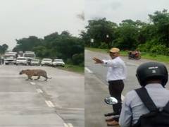 
      
      Watch: Traffic police ask commuters to stop, allow tiger to cross
      
      
