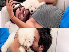 
      
      WATCH: Kartik Aaryan enjoys company of his furry friends
      
      