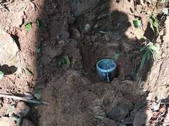 
      
      Chhattisgarh: CRPF team defuses pressure cooker IED
      
      