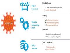 
      
      COVID-19 economic impact could reach $8.8 trillion globally: ADB
      
      