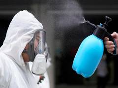 
      
      Germany reports about 80,000 COVID-19 cases, death toll over 1,000
      
      