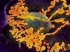 
      
      Coronavirus: Special flights between Iran and India to...
      
      