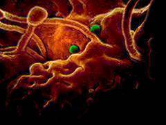 
      
      Coronavirus may have started in Xinjiang's prison camps
      
      
