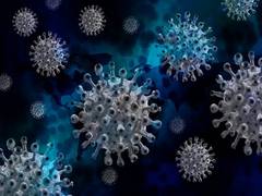 
      
      Russia confirms 141,883 new COVID-19 cases, 678 deaths
      
      