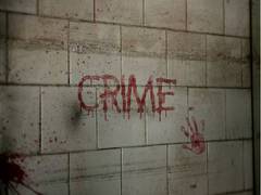 
    Impatient, risk-tolerant people more often become criminals, says study
    