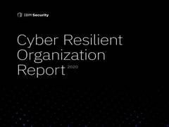 
      
      Cybersecurity response planning rises but containing attacks...
      
      