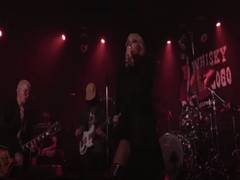 
      
      Miley Cyrus performs live at Save Our Stages fest
      
      