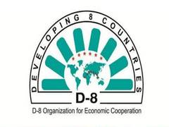 
      
      10th summit of D-8 on economic cooperation kicks off virtually
      
      
