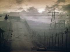 
      
      Urban pollution damages cardiovascular system: Study
      
      