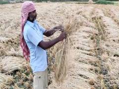 
      
      West Bengal farmers brace up for Cyclone Asani
      
      