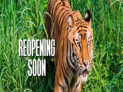 
      
      Delhi Zoo to reopen from April 1; tickets to be booked online
      
      