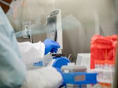 
      
      Directorate General of Foreign Trade lifts export ban on...
      
      