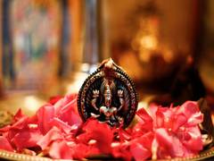 
      
      Bollywood celebrities extend heartfelt greetings on Dhanteras 2021
      
      