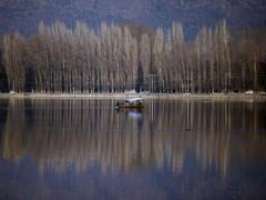 
      
      Webinar on 'Cogitating Kashmir' held in London
      
      