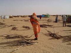 
      
      Sudan initiates investigation into Darfur crimes
      
      