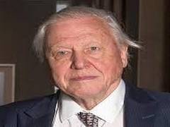 
      
      David Attenborough has 430m-yr-old shrimp ancestor named after him
      
      