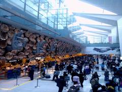 
      
      Canadian deported after arguing, beating up immigration...
      
      
