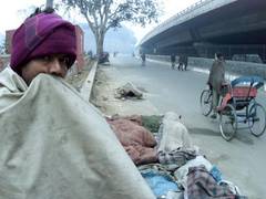
    Cold wave continues in North India
    