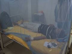 
      
      Dengue outbreak continues in Patna due to stagnant flood water
      
      
