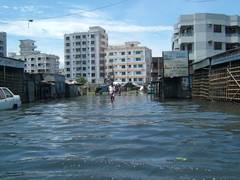 
      
      Bangladesh floods claim 54 lives, affect 2.4 million people,...
      
      