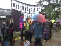
      
      Tibetan activists hold hunger strike to boycott Beijing...
      
      