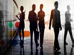 
      
      249 startups given financial support by FFS in last three...
      
      