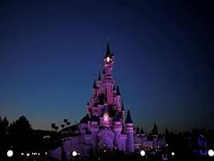 
    After kid donates vacation money for hurricane relief, Disney gifts him VIP trip 
    