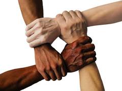 
    People tend to adapt to societal diversity over time: Study
    