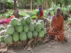
      
      During festive season, Bengaluru traders, shopkeepers face...
      
      