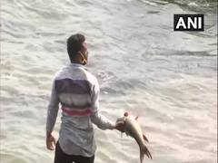 
      
      Bhopal fishermen say facing losses due to Covid-19 lockdown
      
      