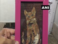 
      
      Man in MP's Jabalpur makes eco-friendly artwork with leaves,...
      
      