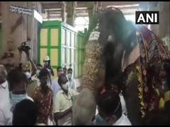
      
      TN ministers, veterinary experts visit Madurai's Meenakshi...
      
      