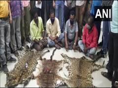 
      
      8 held in Odisha's Kalahandi; tiger, leopard skins seized 
      
      
