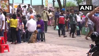 
      
      Tourists throng Kasauli despite third COVID wave warnings
      
      