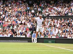 
      
      Federer to undergo more knee surgeries, to miss US Open
      
      
