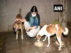 
      
      It is an achievement for animal lovers, says Veterinary...
      
      