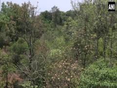 
      
      Entrepreneur buys 21-acre barren land, converts it into...
      
      