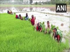 
      
      Paddy growers in UP's Aligarh face problems due to delayed...
      
      