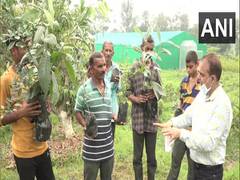
      
      J-K: Udhampur's Horticulture Department organises skill...
      
      