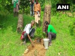 
      
      Odisha: 72-year-old Tree Teacher plants more than 30,000...
      
      