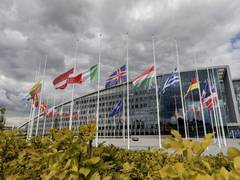 
      
      Flags of NATO allies flown at half-mast following Kabul...
      
      