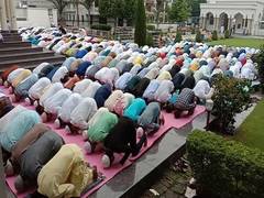 
      
      Eid-ul-Adha: Hundreds throng Mohalla mosques in Srinagar...
      
      