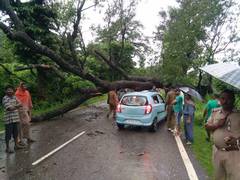 
      
      HP: Fallen tree disrupts traffic on NH-154 near Kangra
      
      