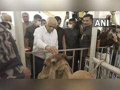
      
      Jamnagar: Bhupendra Patel visits lumpy virus vaccination centre 
      
      