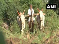 
      
      Karnataka: This 91-year-old-farmer works for 8 hours everyday
      
      