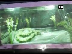 
      
      WB: Mortal remains of labours killed by terrorists in J-K ...
      
      